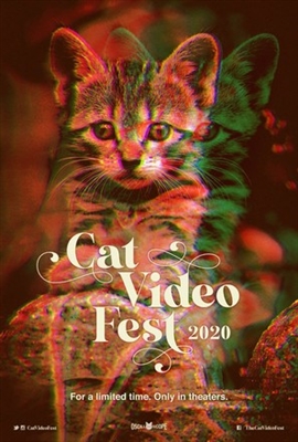 CatVideoFest 2020 hoodie