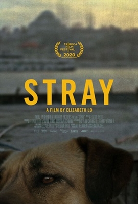Stray Poster with Hanger