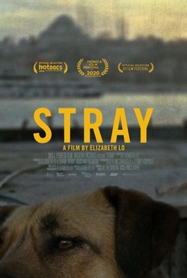 Stray Poster with Hanger