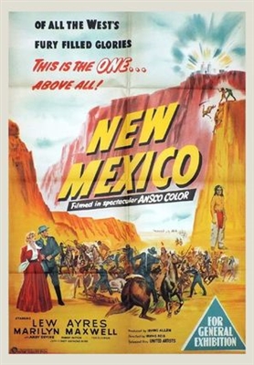 New Mexico Metal Framed Poster
