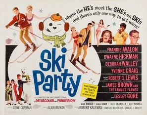 Ski Party poster