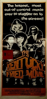 The Kentucky Fried Movie pillow