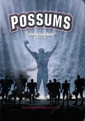 Possums poster