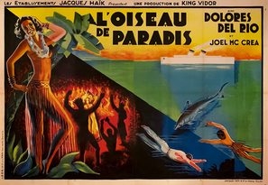 Bird of Paradise Poster 1699122