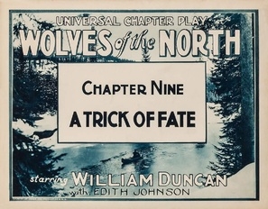 Wolves of the North Metal Framed Poster