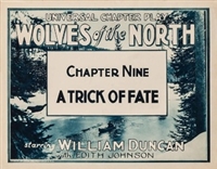 Wolves of the North mug #
