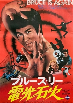 Fury Of The Dragon poster