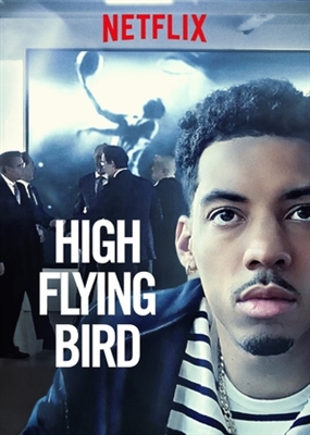 High Flying Bird Canvas Poster