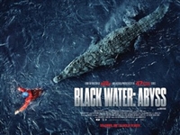 Black Water: Abyss hoodie #1708409