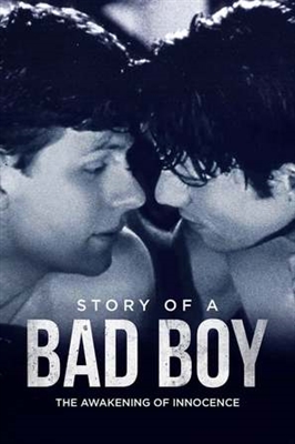 Story of a Bad Boy puzzle 1708773