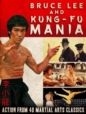 Bruce Lee and Kung Fu Mania pillow