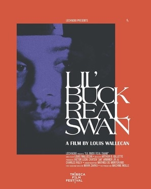 Lil' Buck: Real Swan puzzle 1710960