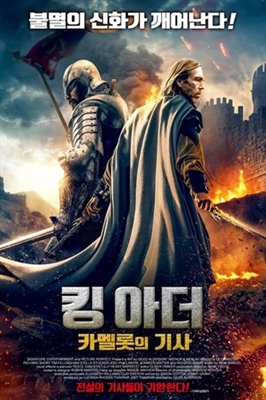 Arthur &amp; Merlin: Knights of Camelot Canvas Poster