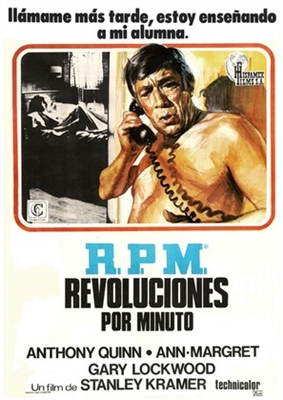 R.P.M. Wooden Framed Poster