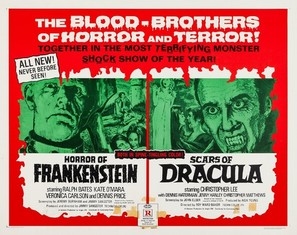 The Horror of Frankenstein Wooden Framed Poster