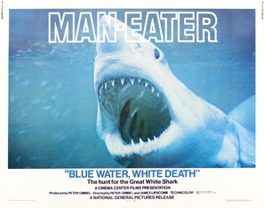Blue Water, White Death Wooden Framed Poster