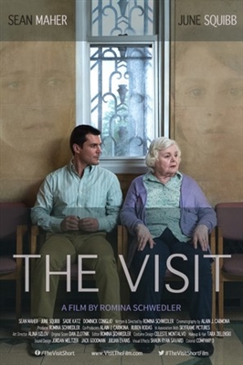 The Visit  poster