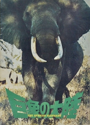 The African Elephant poster