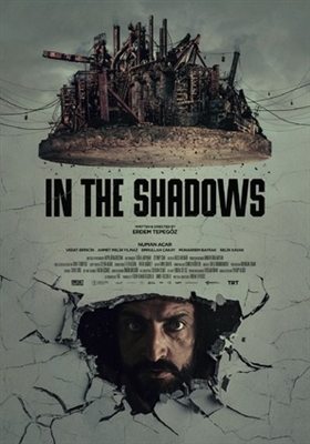 In the Shadows puzzle 1730226