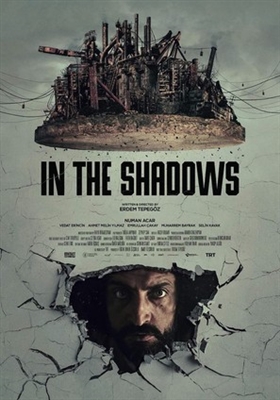 In the Shadows Metal Framed Poster
