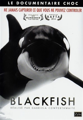 Blackfish Wooden Framed Poster