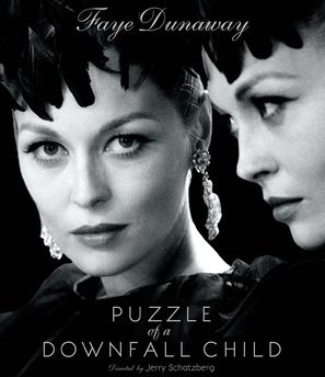 Puzzle of a Downfall Child poster
