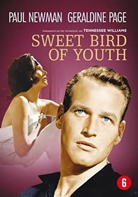 Sweet Bird of Youth Canvas Poster