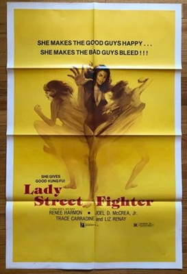 Lady Street Fighter Poster 1736015