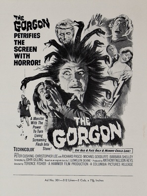 The Gorgon hoodie