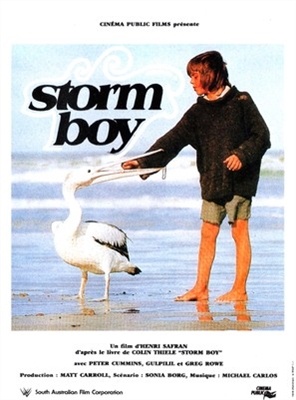 Storm Boy Metal Framed Poster