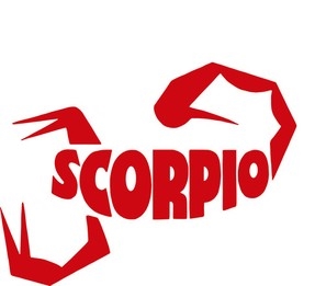 Scorpio pillow