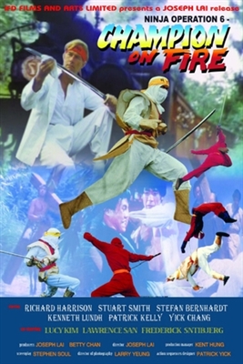 Ninja Avengers poster