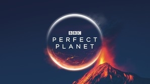 A Perfect Planet Wooden Framed Poster