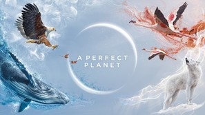 A Perfect Planet Poster with Hanger