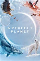 A Perfect Planet Sweatshirt #1756479