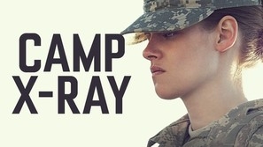 Camp X-Ray  pillow