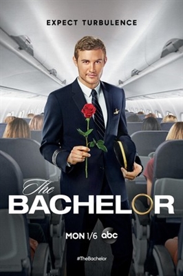 The Bachelor puzzle 1764135