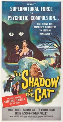 Shadow of the Cat Canvas Poster