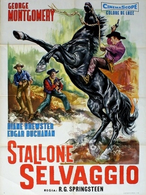 King of the Wild Stallions Metal Framed Poster