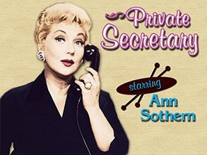 Private Secretary Phone Case