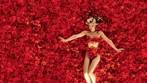 American Beauty Poster 1777060
