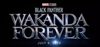 Black Panther: Wakanda Forever hoodie #1779379