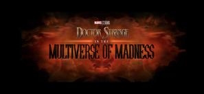 Doctor Strange in the Multiverse of Madness Sweatshirt