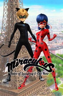 &quot;Miraculous: Tales of Ladybug &amp; Cat Noir&quot; hoodie