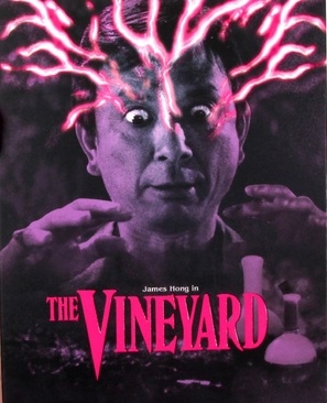 The Vineyard Poster with Hanger