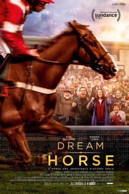 Dream Horse Metal Framed Poster