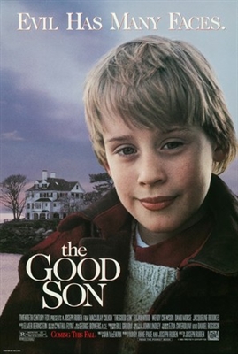 The Good Son Poster with Hanger