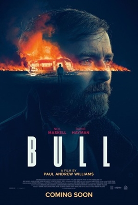 Bull Metal Framed Poster
