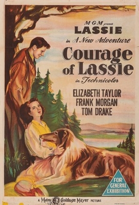 Courage of Lassie Metal Framed Poster