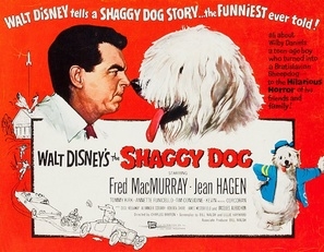 The Shaggy Dog Poster with Hanger